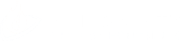 FSP Logo White